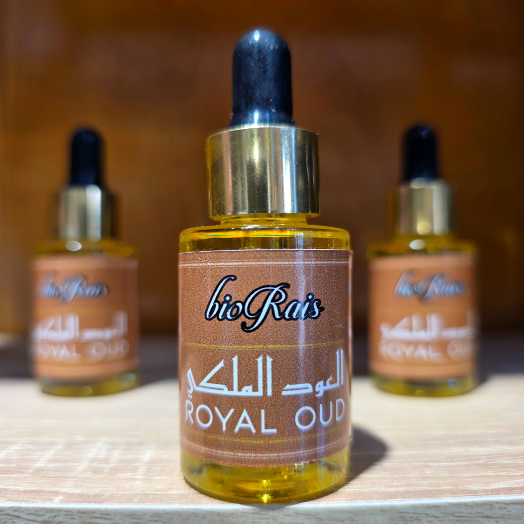 العود الملكي _ حجم كبير