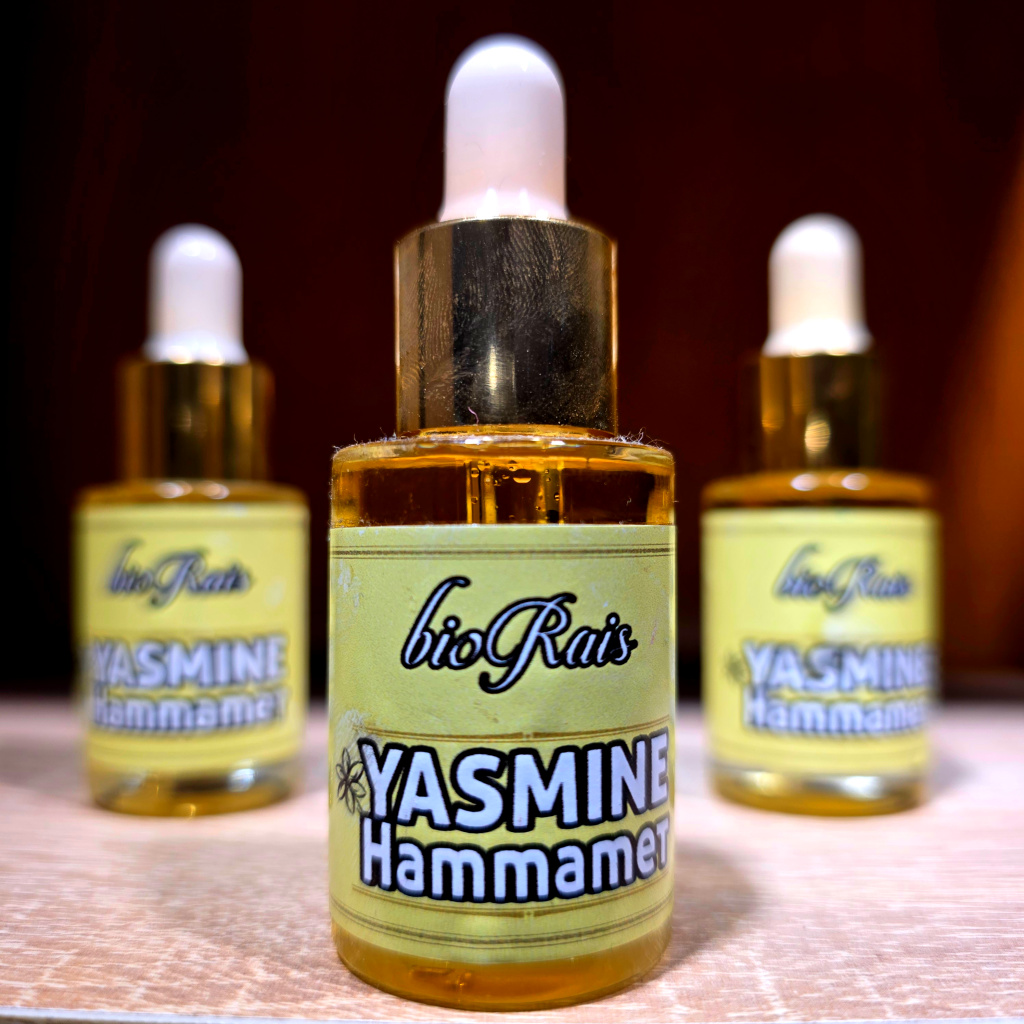 ياسمين الحمامات - حجم كبير