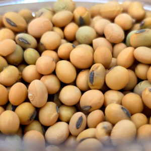 بذور الصويا - 500غ